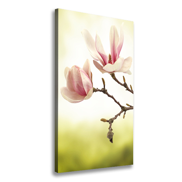 Verticale foto op canvas Magnolia bloemen