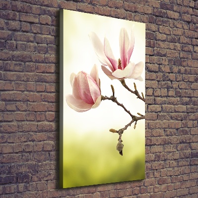 Verticale foto op canvas Magnolia bloemen