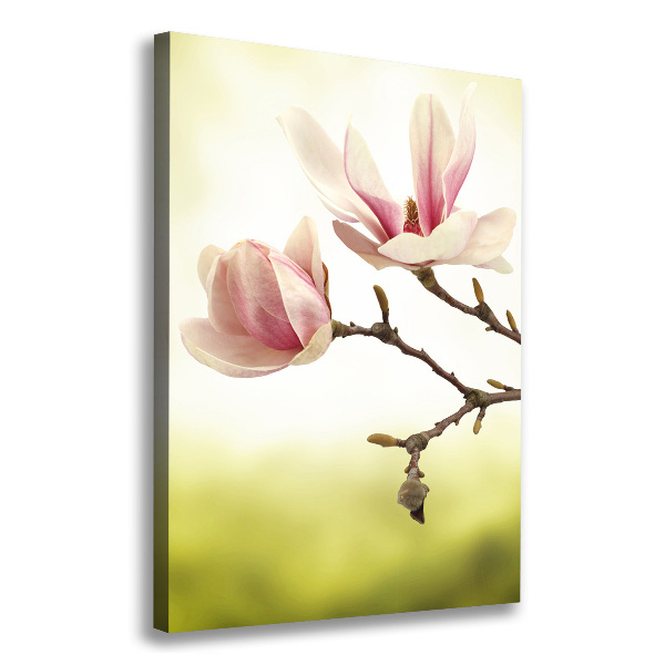 Verticale foto op canvas Magnolia bloemen