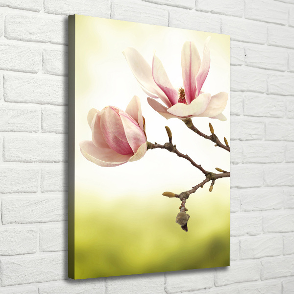 Verticale foto op canvas Magnolia bloemen
