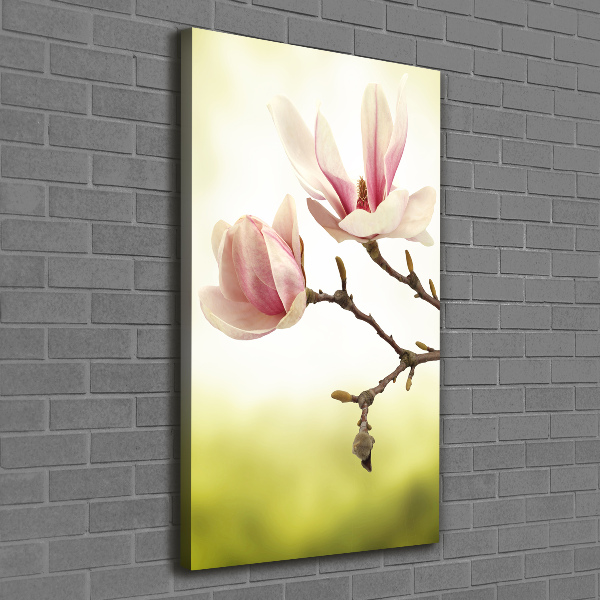 Verticale foto op canvas Magnolia bloemen
