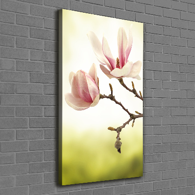 Verticale foto op canvas Magnolia bloemen