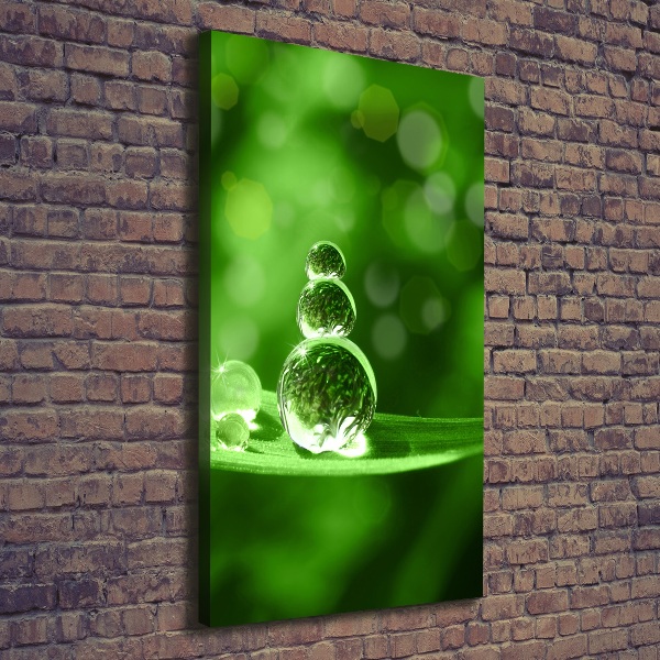Verticale canvasfoto Druppels op het gras