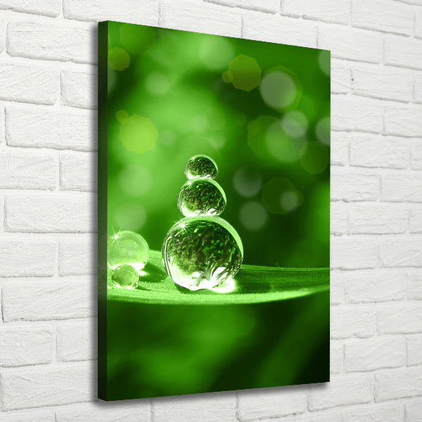Verticale canvasfoto Druppels op het gras