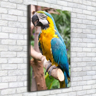 Verticale foto op canvas Ara Papegaai
