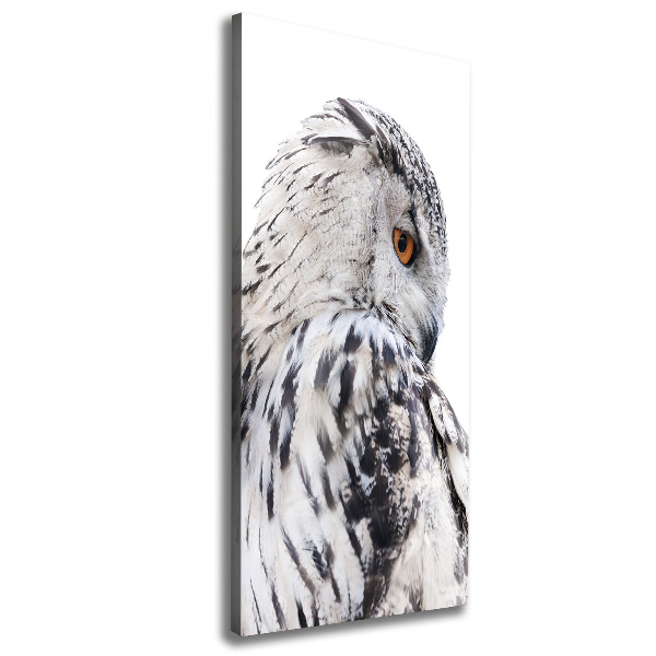 Verticale canvasfoto Witte uil