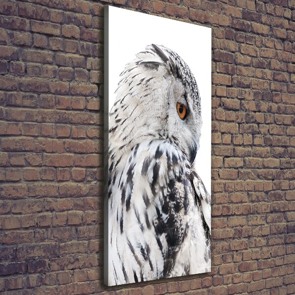 Verticale canvasfoto Witte uil
