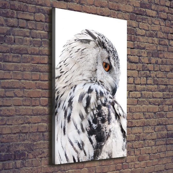 Verticale canvasfoto Witte uil