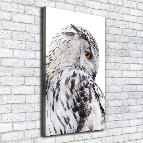 Verticale canvasfoto Witte uil
