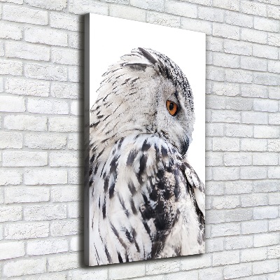 Verticale canvasfoto Witte uil