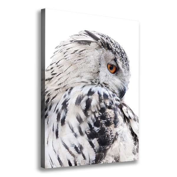 Verticale canvasfoto Witte uil