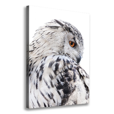 Verticale canvasfoto Witte uil