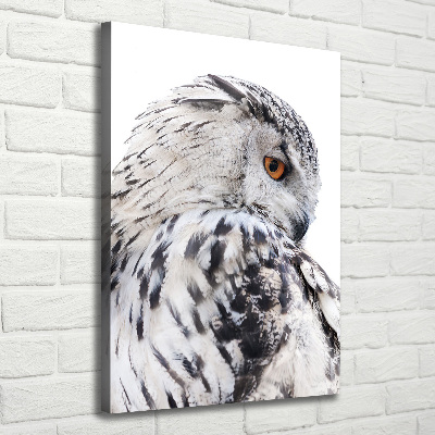 Verticale canvasfoto Witte uil