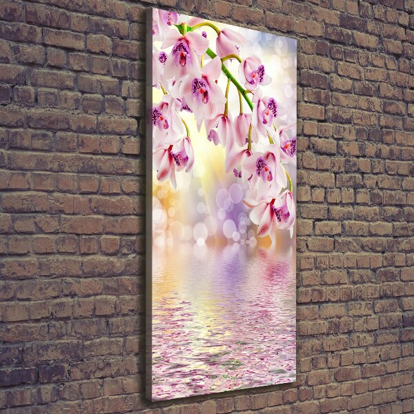 Verticale foto op canvas Orchidee