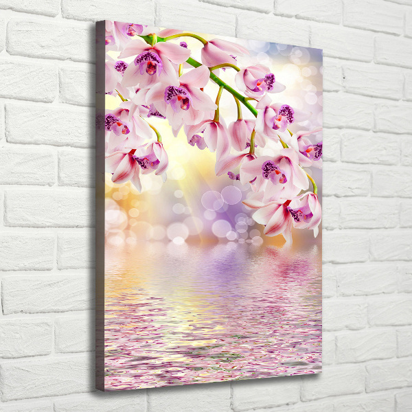 Verticale foto op canvas Orchidee