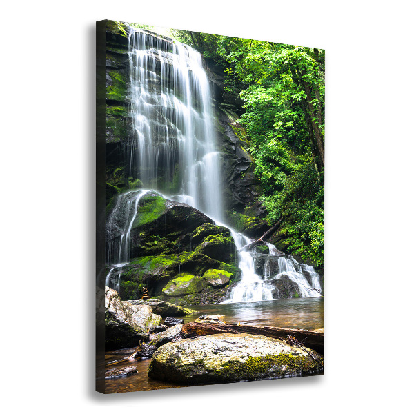 Verticaal schilderij op canvas Waterval in de jungle