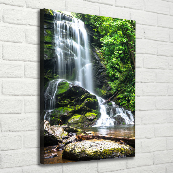 Verticaal schilderij op canvas Waterval in de jungle