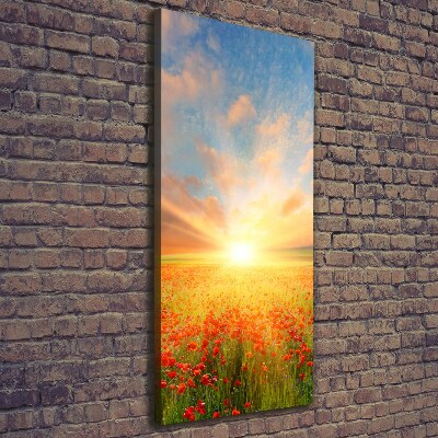 Verticale foto op canvas Klaprozenveld