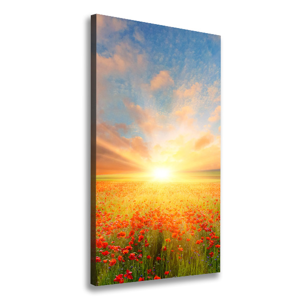 Verticale foto op canvas Klaprozenveld