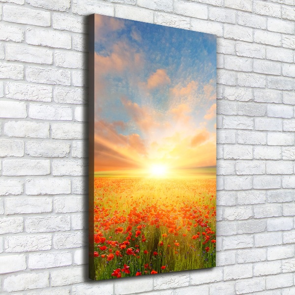 Verticale foto op canvas Klaprozenveld