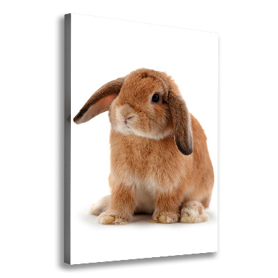 Verticale foto op canvas Konijn