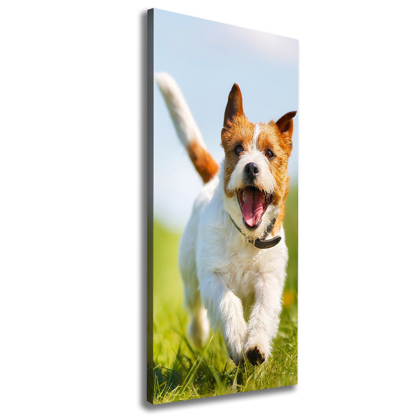 Verticale canvasfoto Jack Russell hond