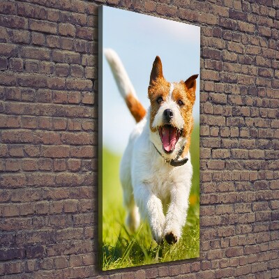 Verticale canvasfoto Jack Russell hond