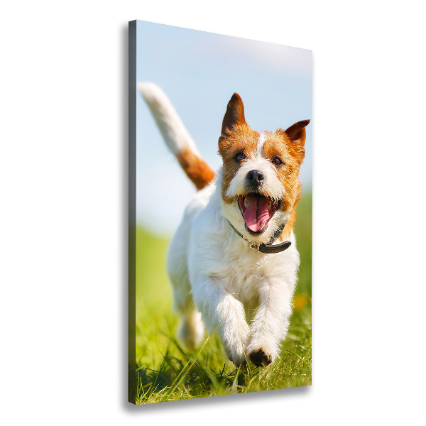 Verticale canvasfoto Jack Russell hond