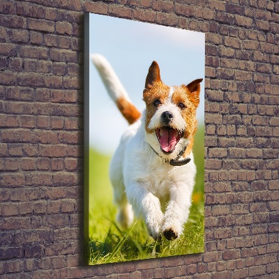 Verticale canvasfoto Jack Russell hond