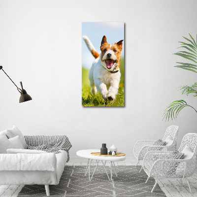 Verticale canvasfoto Jack Russell hond