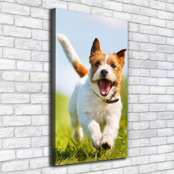 Verticale canvasfoto Jack Russell hond