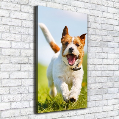 Verticale canvasfoto Jack Russell hond