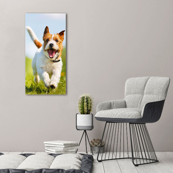 Verticale canvasfoto Jack Russell hond