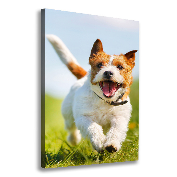 Verticale canvasfoto Jack Russell hond
