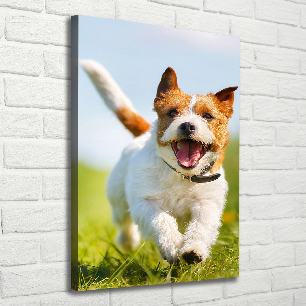 Verticale canvasfoto Jack Russell hond