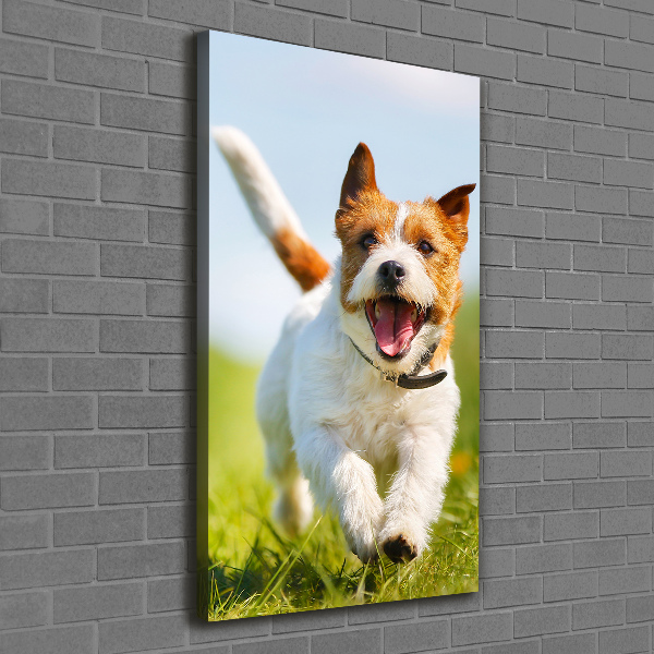 Verticale canvasfoto Jack Russell hond
