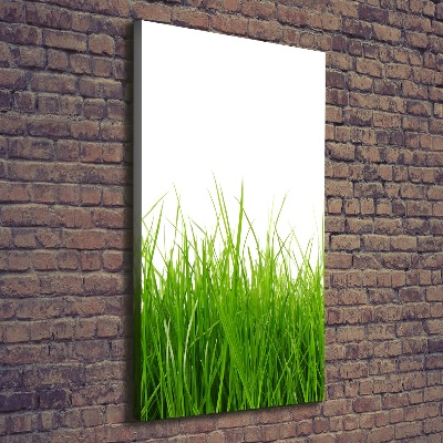 Verticaal canvasschilderij Groen gras
