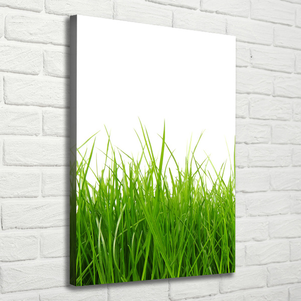 Verticaal canvasschilderij Groen gras
