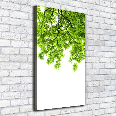 Verticaal schilderij op canvas Boomkroon