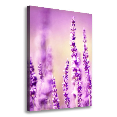 Verticaal canvasschilderij Lavendel