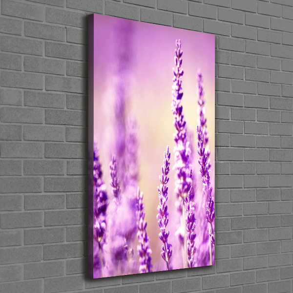 Verticaal canvasschilderij Lavendel
