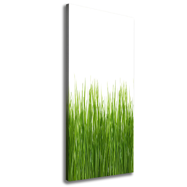 Verticale foto op canvas Groen gras