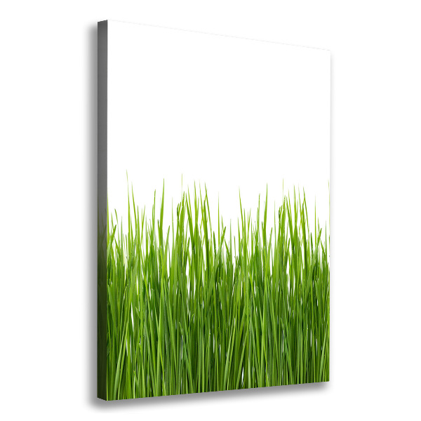 Verticale foto op canvas Groen gras