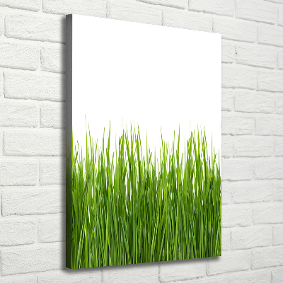 Verticale foto op canvas Groen gras