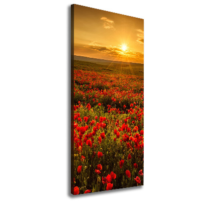 Verticaal schilderij op canvas Klaprozenveld