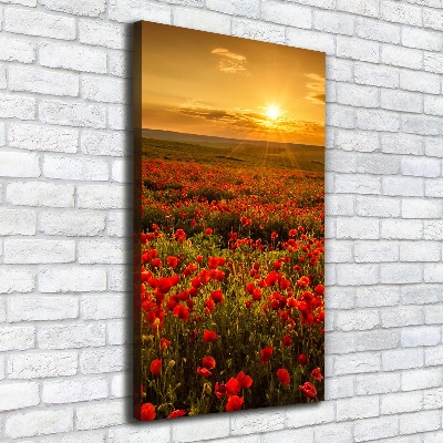 Verticaal schilderij op canvas Klaprozenveld