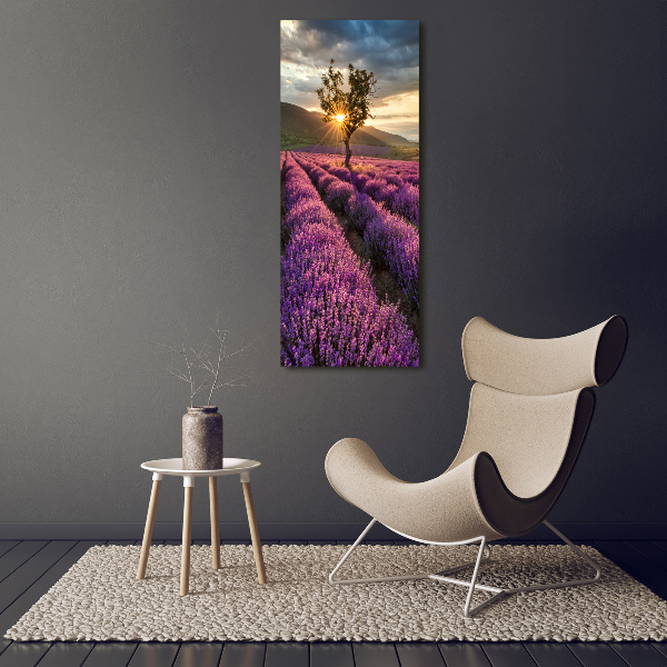 Verticale foto op canvas Lavendelveld