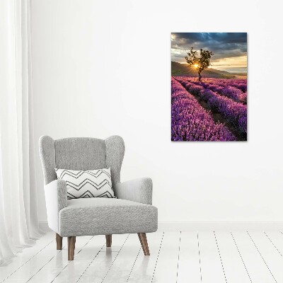 Verticale foto op canvas Lavendelveld