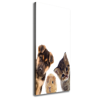 Verticale foto op canvas Huisdieren