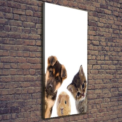 Verticale foto op canvas Huisdieren